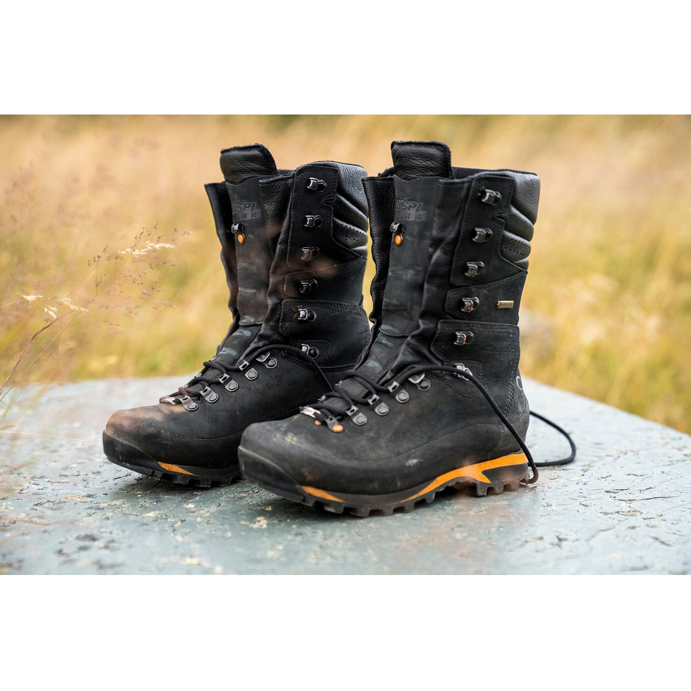 Crispi Bre 75 MM Skistiefel Schwarz | AUM348692